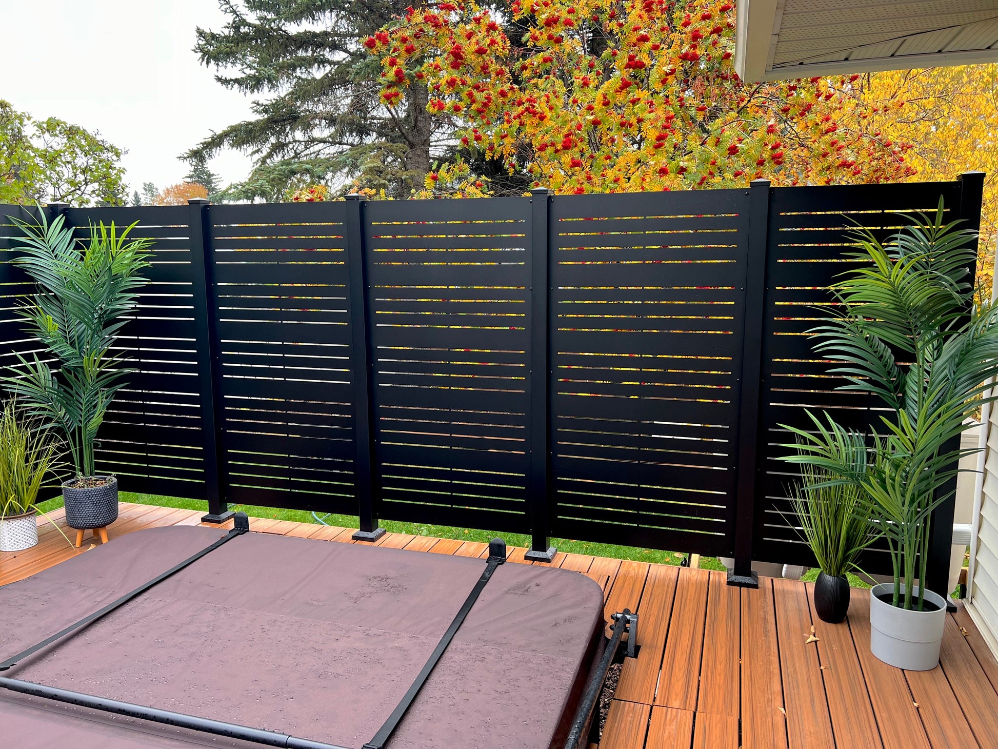 Privacy Screen - ELEMENT