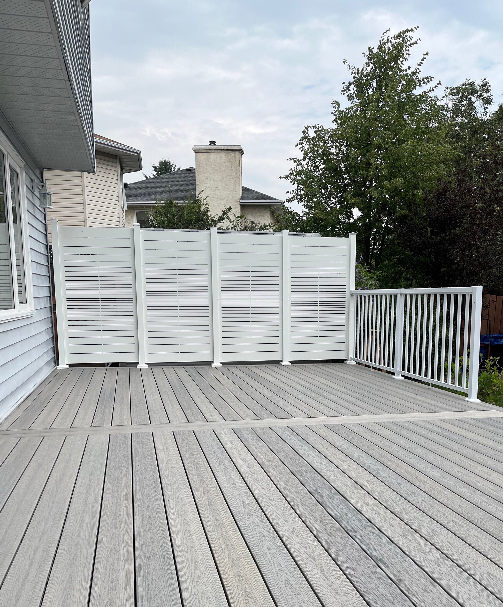Privacy Screen - VISTA